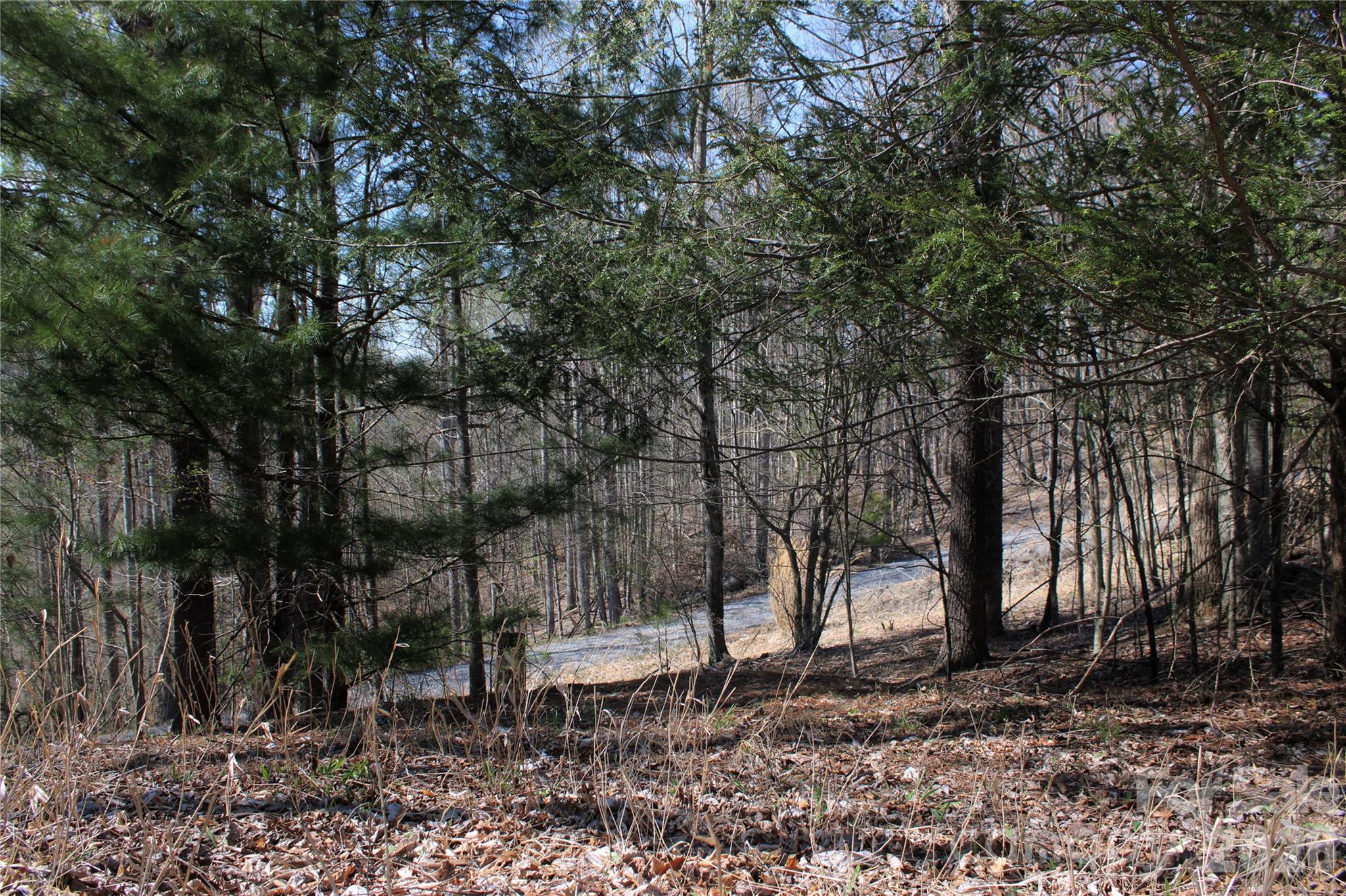 00 Scenic View Drive Green Mountain NC 28740