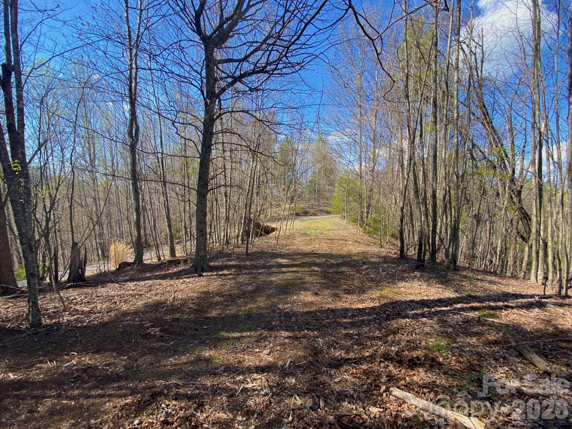 00 Scenic View Drive Green Mountain NC 28740