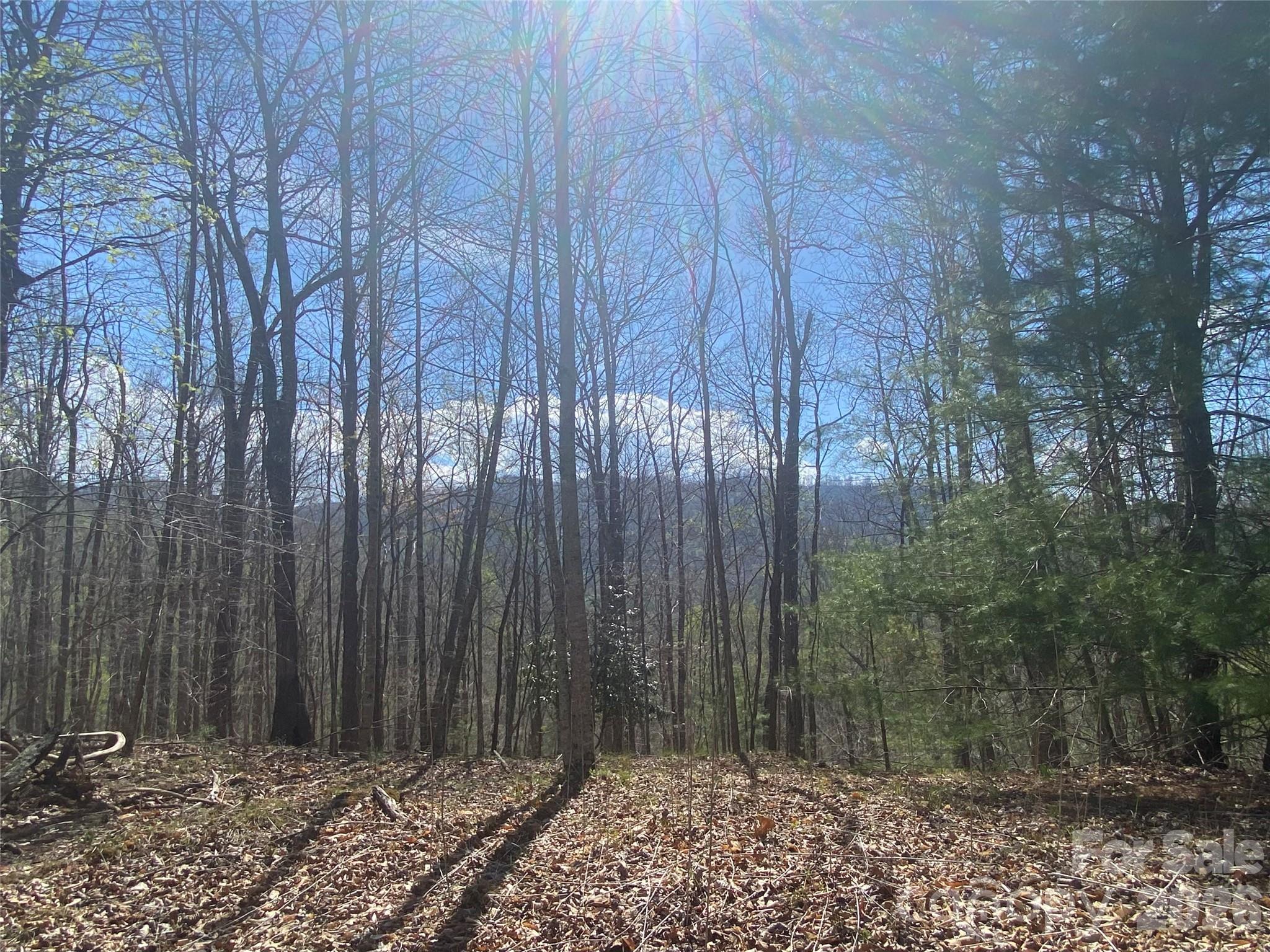 00 Scenic View Drive Green Mountain NC 28740