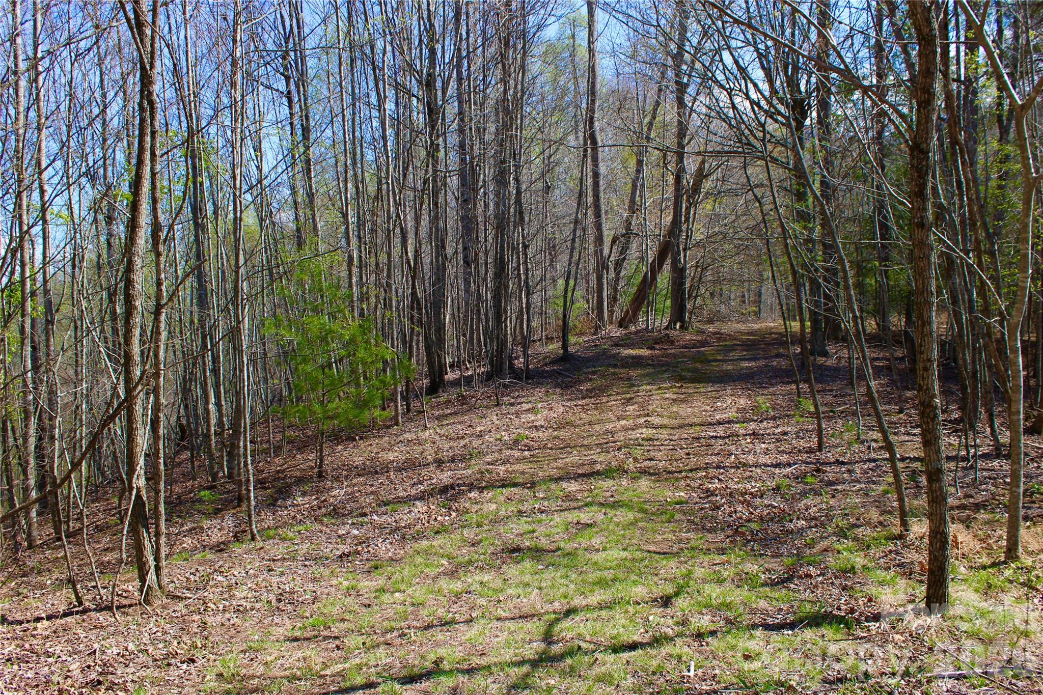 00 Scenic View Drive Green Mountain NC 28740