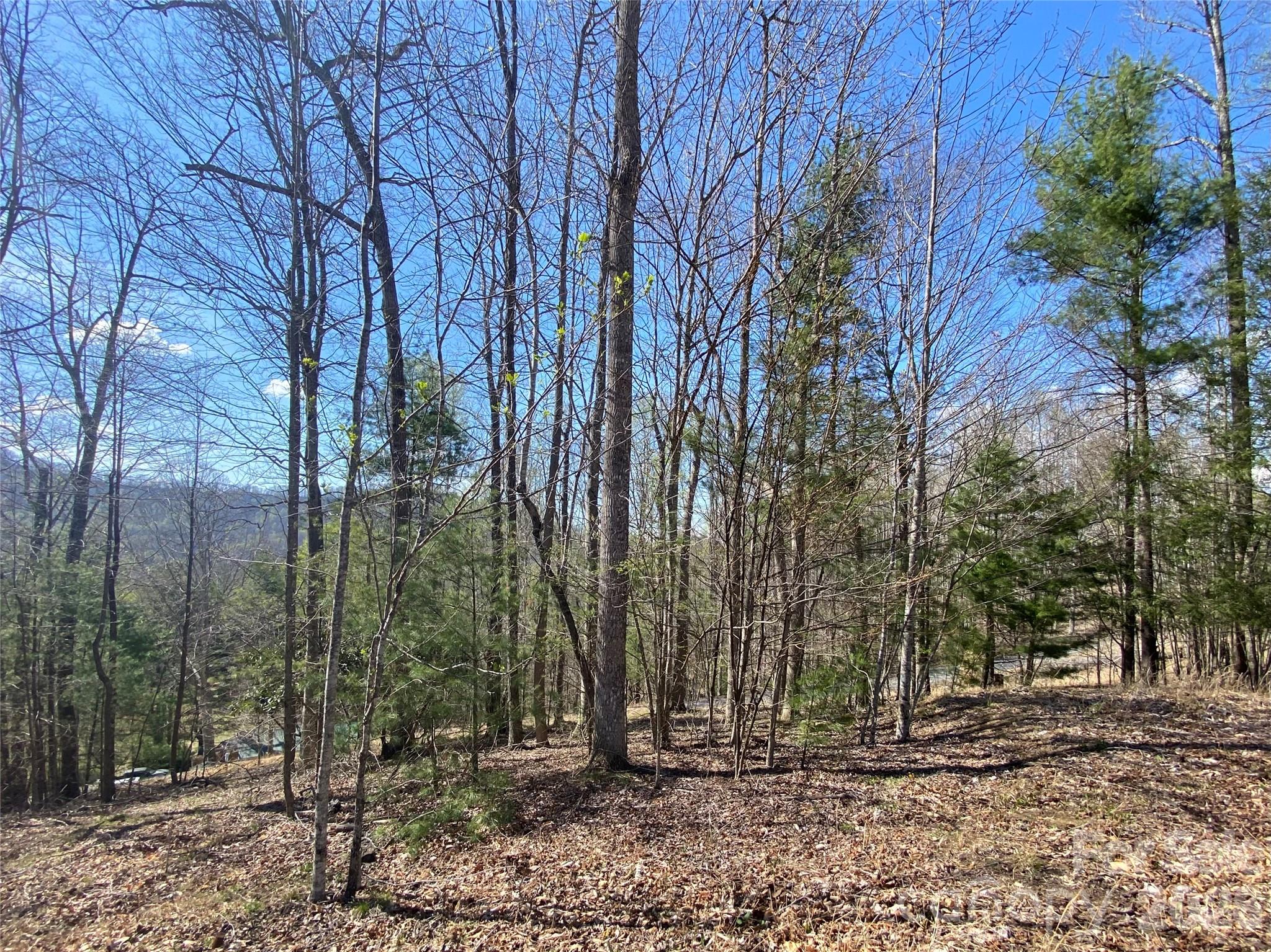 00 Scenic View Drive Green Mountain NC 28740