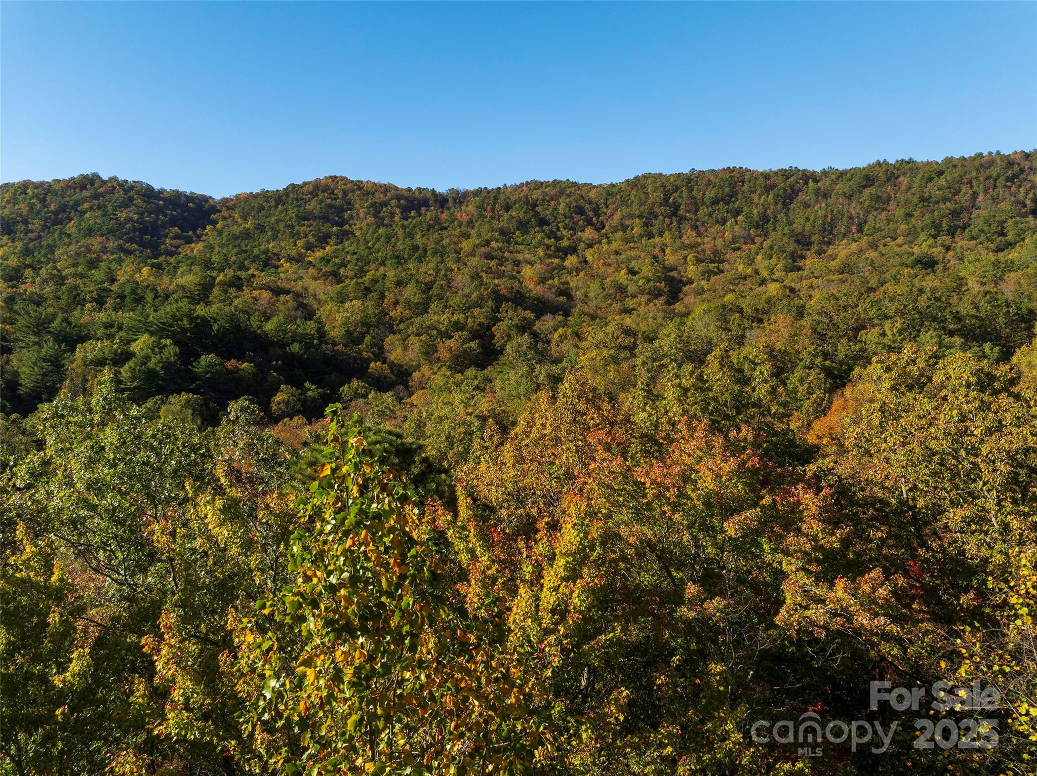 Tbd Old Toxaway Road Brevard NC 28712