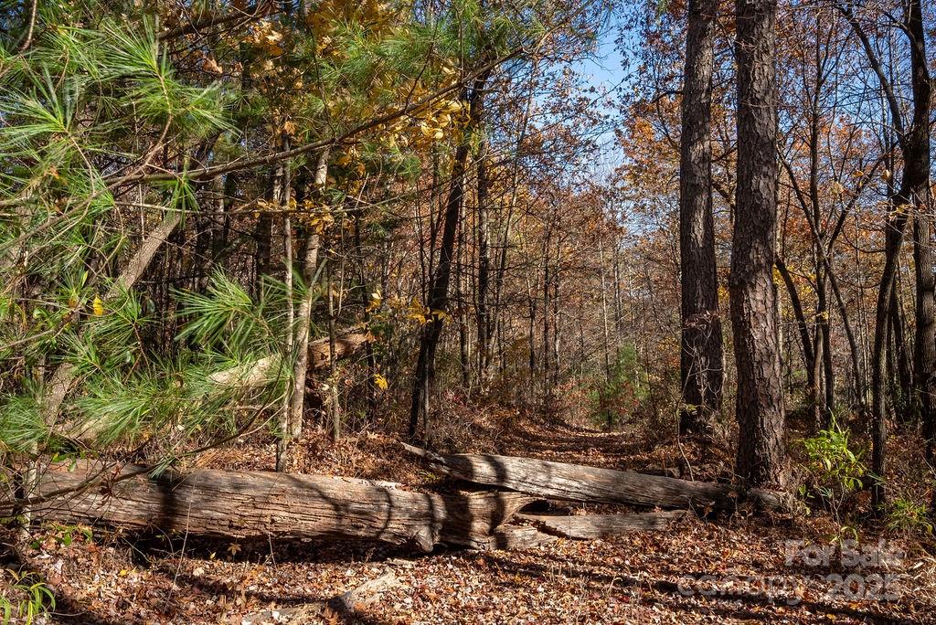 Tbd Old Toxaway Road Brevard NC 28712