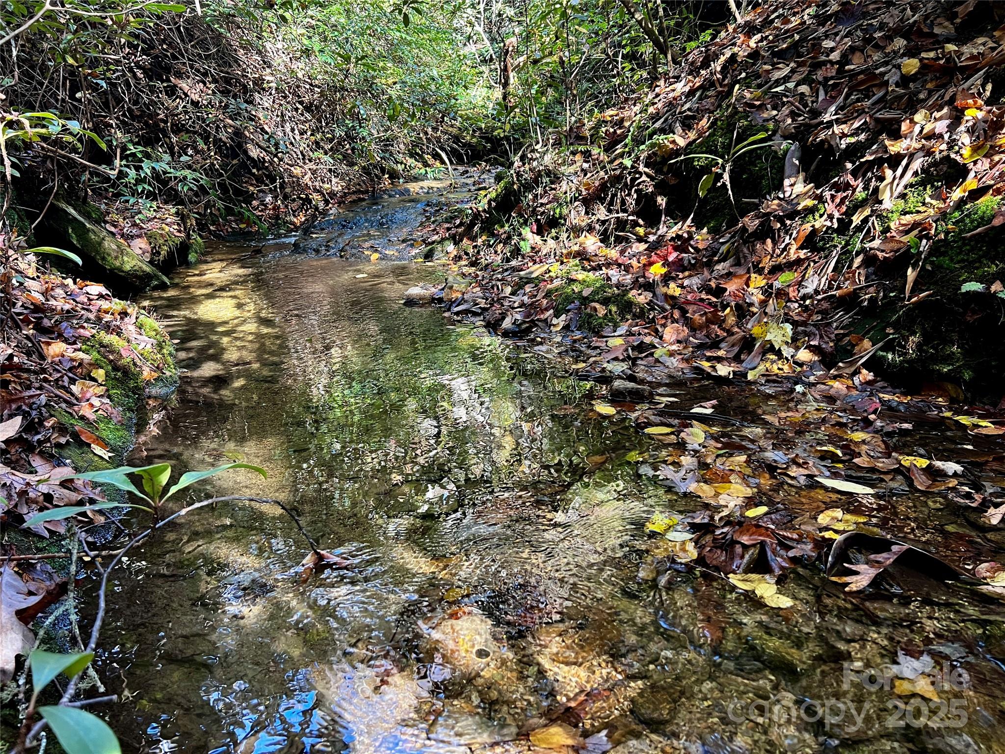 Tbd Old Toxaway Road Brevard NC 28712