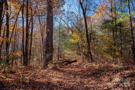 Tbd Old Toxaway Road Brevard NC 28712