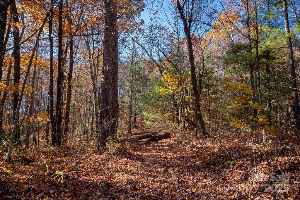 Tbd Old Toxaway Road Brevard NC 28712