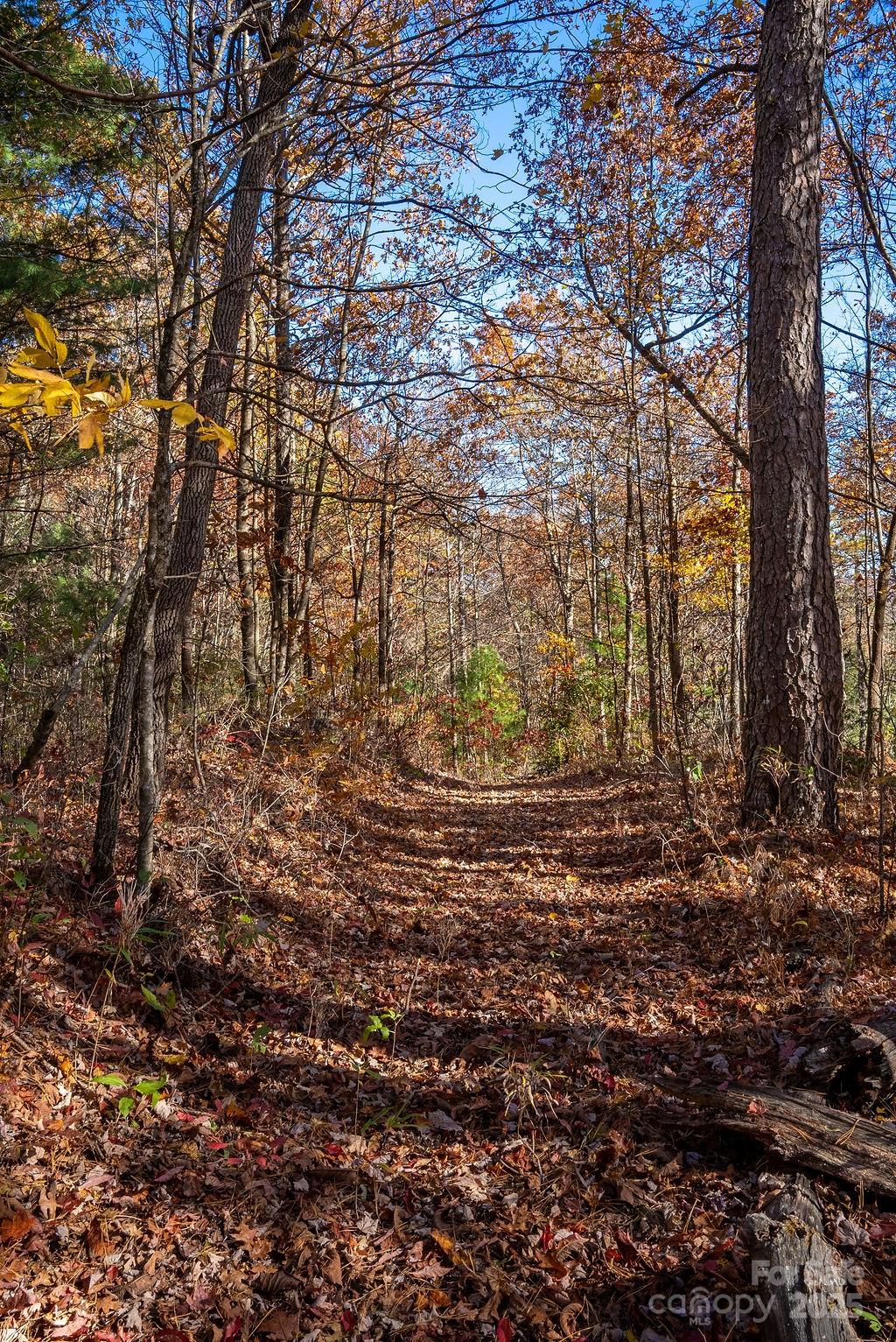 Tbd Old Toxaway Road Brevard NC 28712