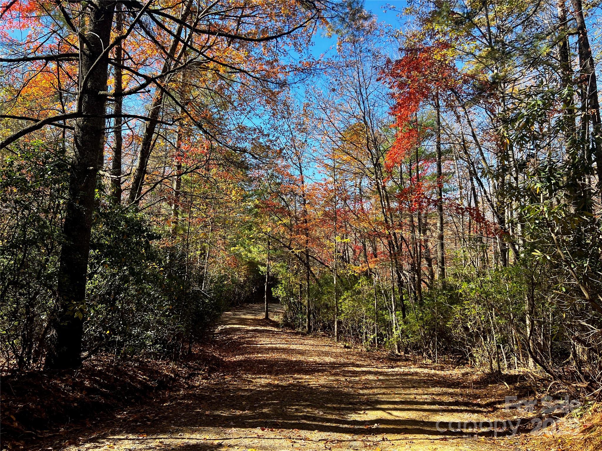 Tbd Old Toxaway Road Brevard NC 28712