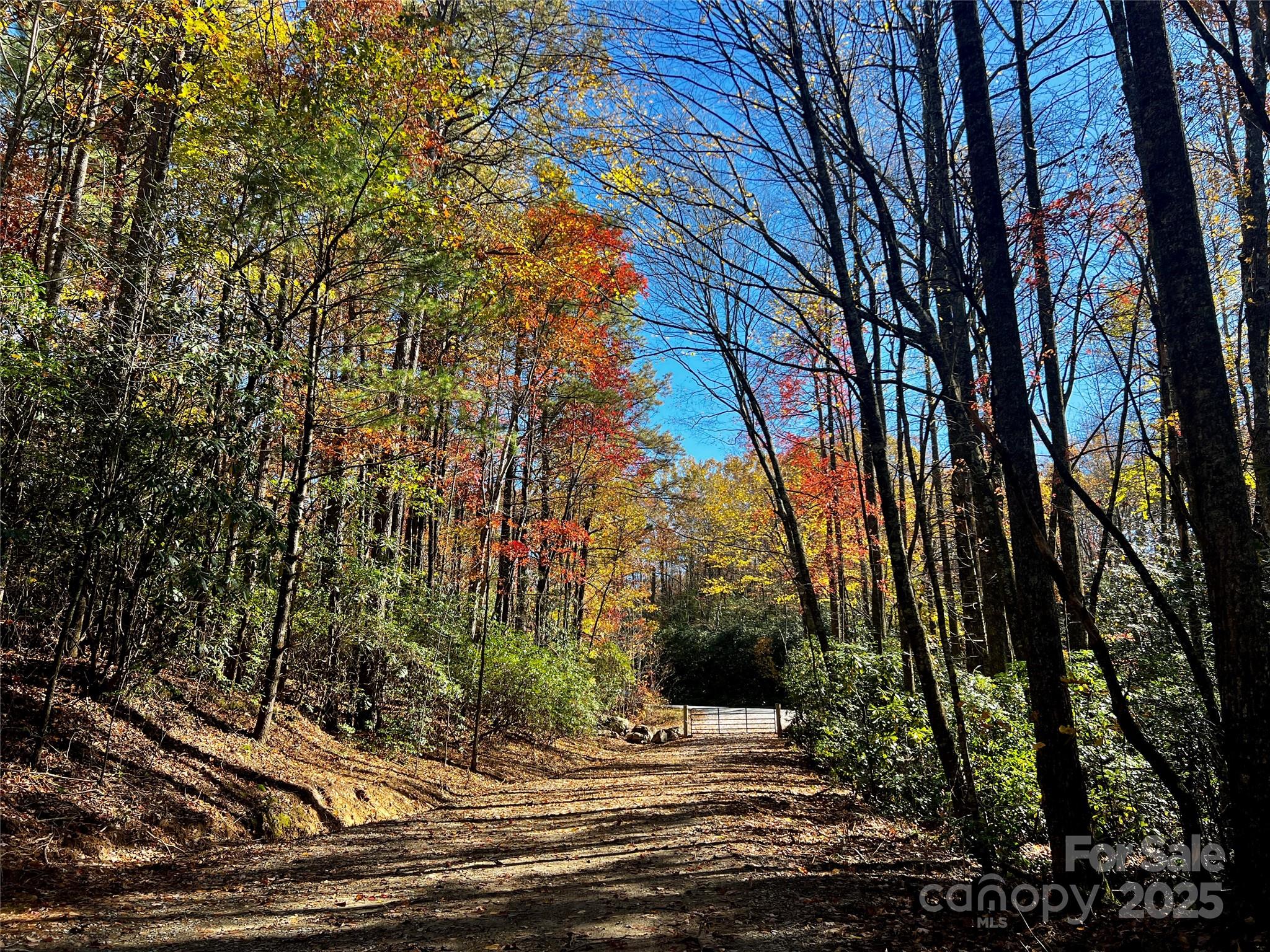Tbd Old Toxaway Road Brevard NC 28712