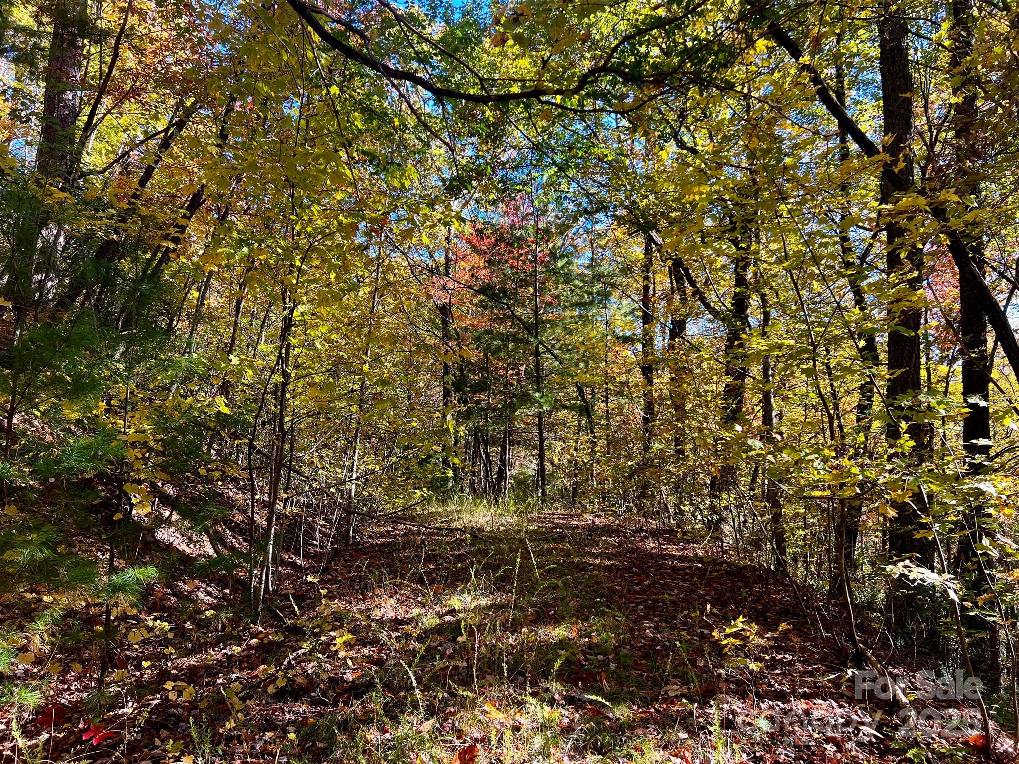 Tbd Old Toxaway Road Brevard NC 28712