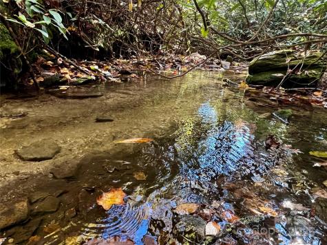 Tbd Old Toxaway Road Brevard NC 28712