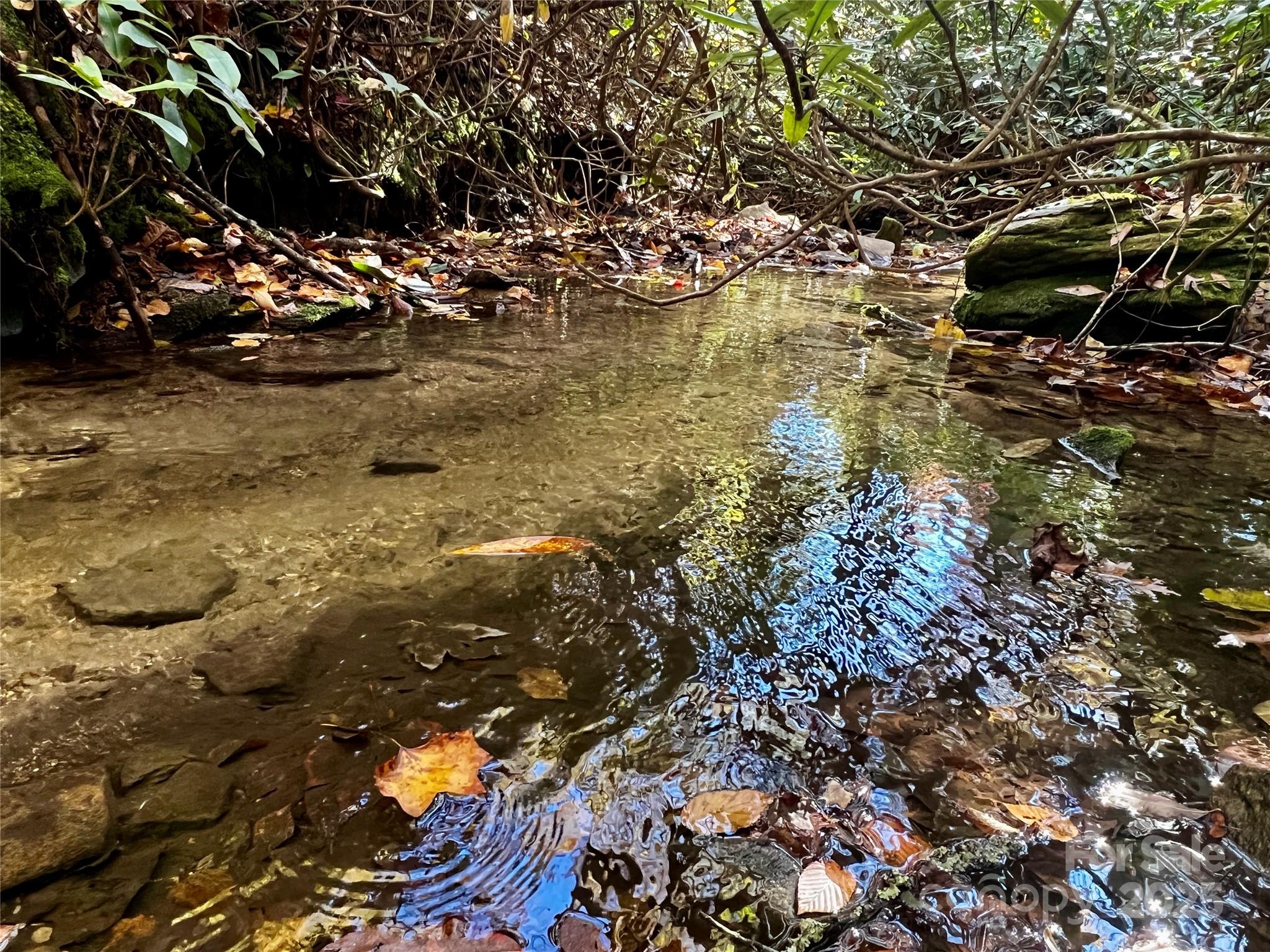 Tbd Old Toxaway Road Brevard NC 28712