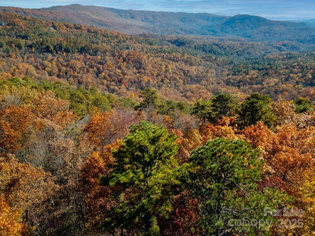 Tbd Old Toxaway Road Brevard NC 28712