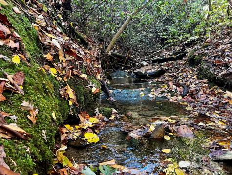 Tbd Old Toxaway Road Brevard NC 28712