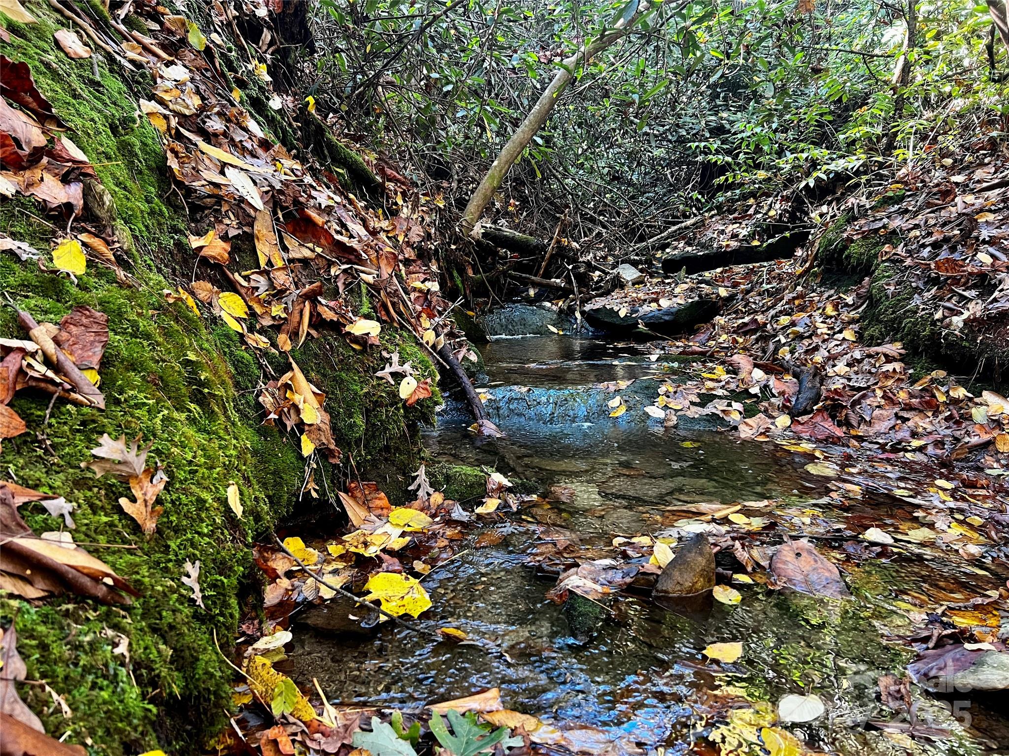Tbd Old Toxaway Road Brevard NC 28712