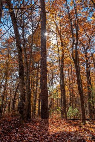 Tbd Old Toxaway Road Brevard NC 28712