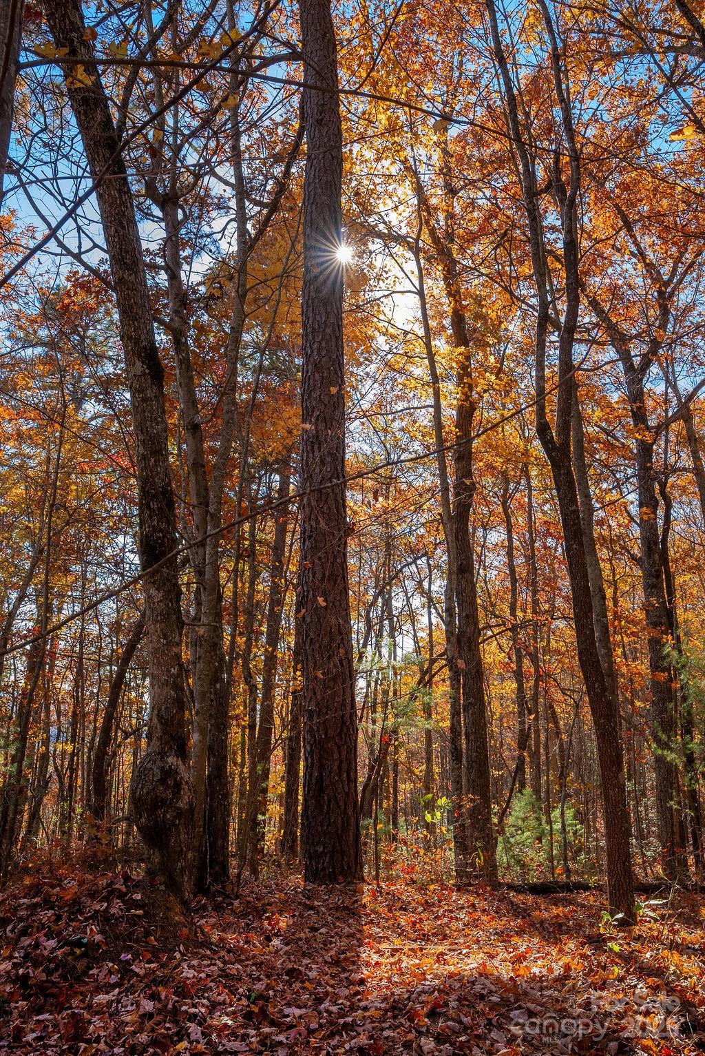 Tbd Old Toxaway Road Brevard NC 28712