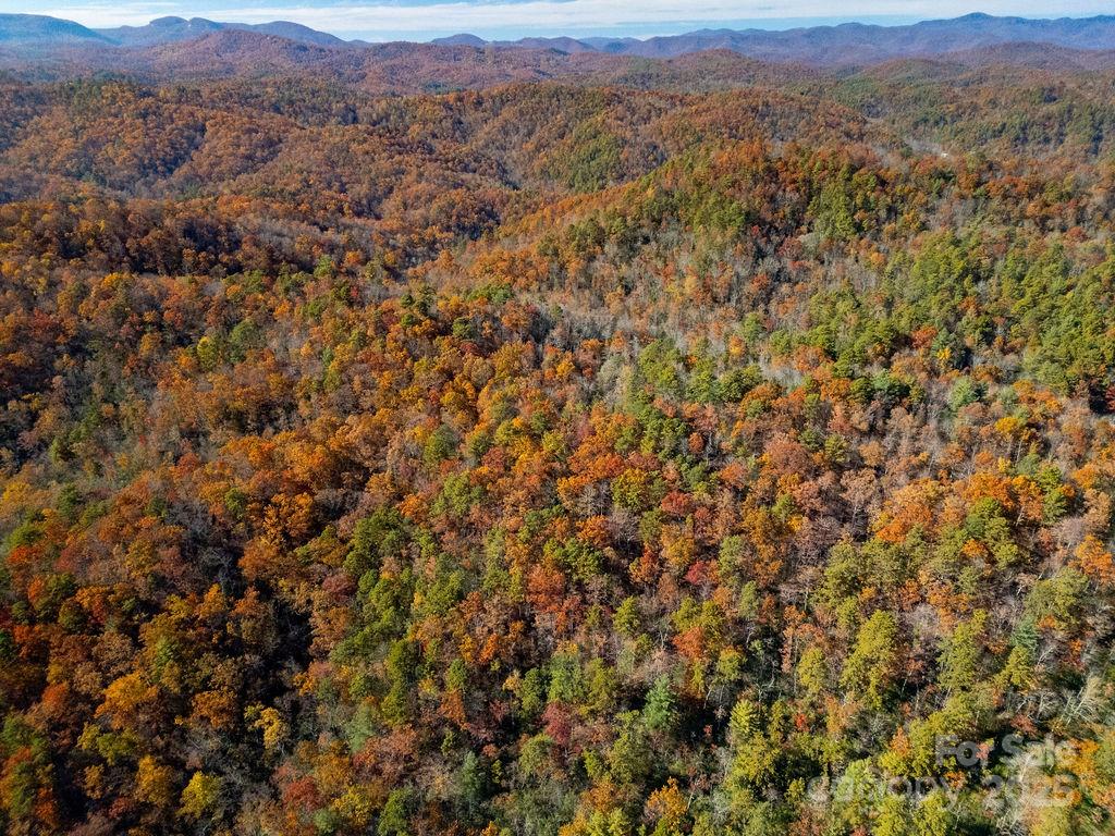 Tbd Old Toxaway Road Brevard NC 28712