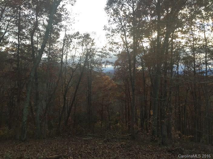35 Tulip Poplar Trail Asheville NC 28804