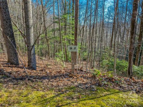 Tbd Ladys Fern Trail Laurel Park NC 28739
