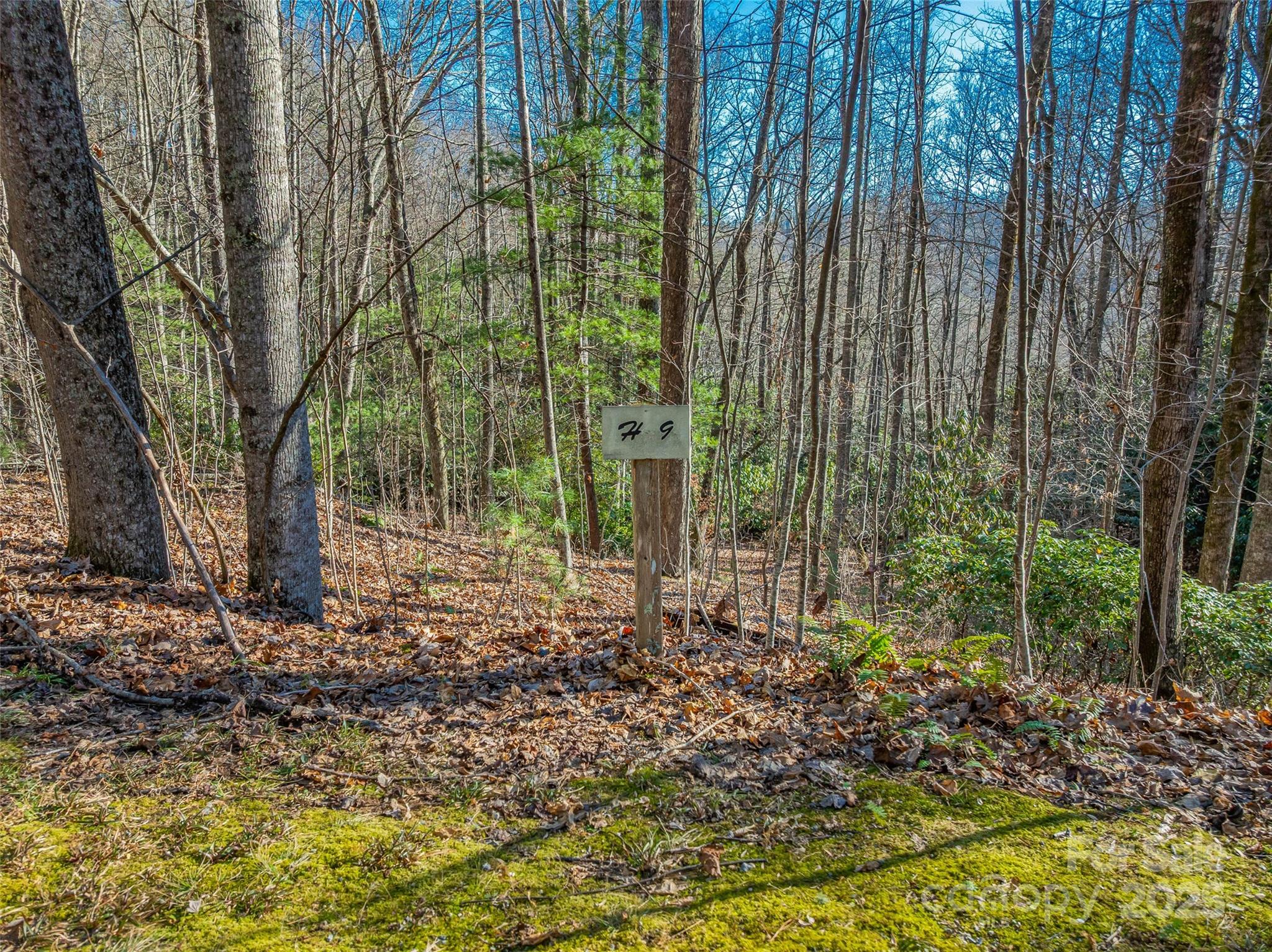 Tbd Ladys Fern Trail Laurel Park NC 28739