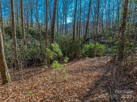Tbd Ladys Fern Trail Laurel Park NC 28739