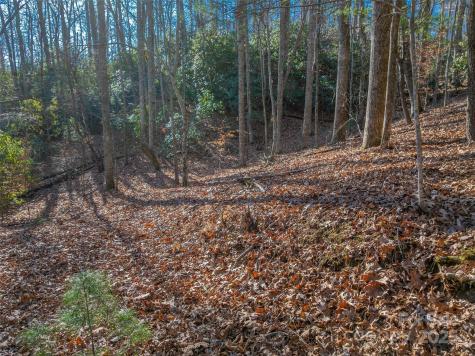Tbd Ladys Fern Trail Laurel Park NC 28739