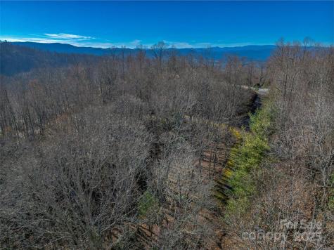 Tbd Ladys Fern Trail Laurel Park NC 28739