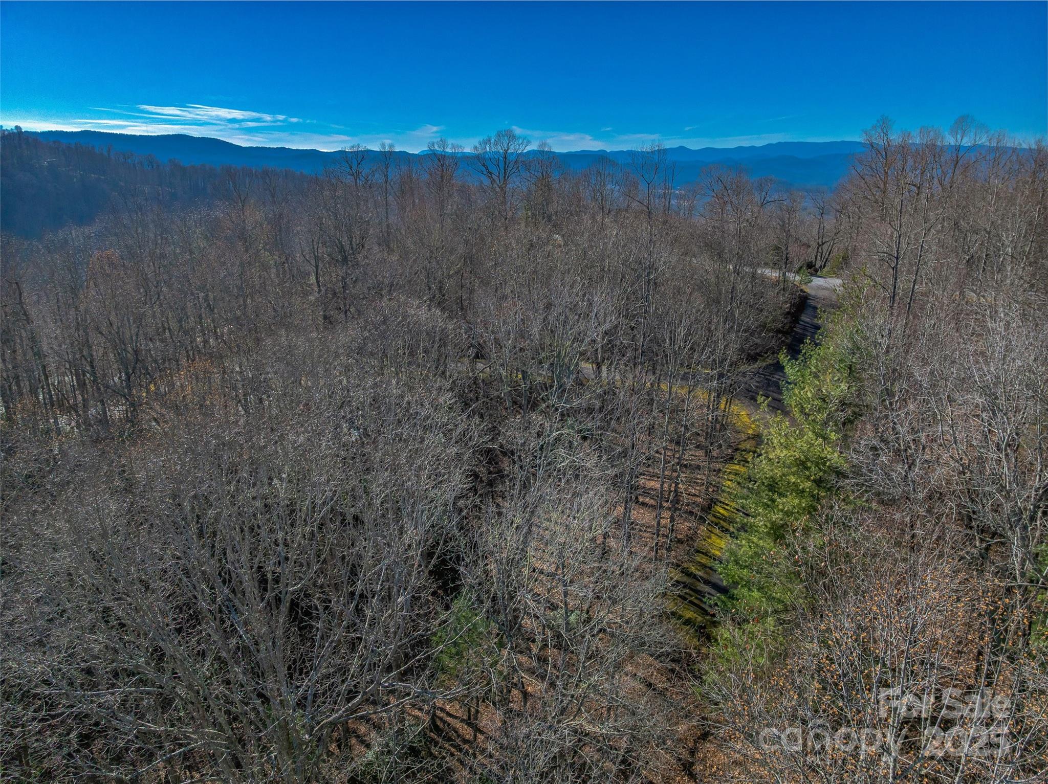 Tbd Ladys Fern Trail Laurel Park NC 28739