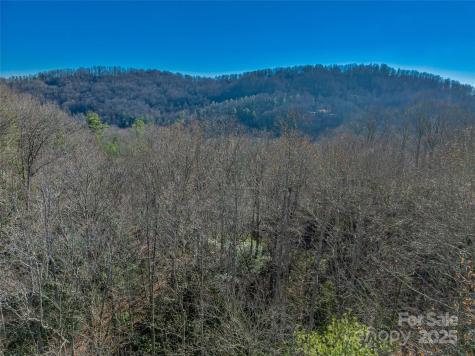 Tbd Ladys Fern Trail Laurel Park NC 28739
