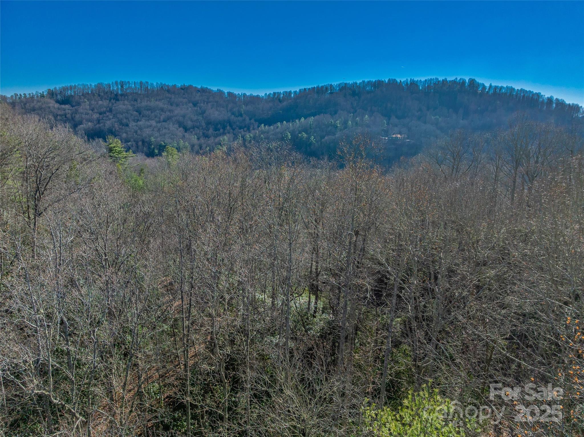 Tbd Ladys Fern Trail Laurel Park NC 28739