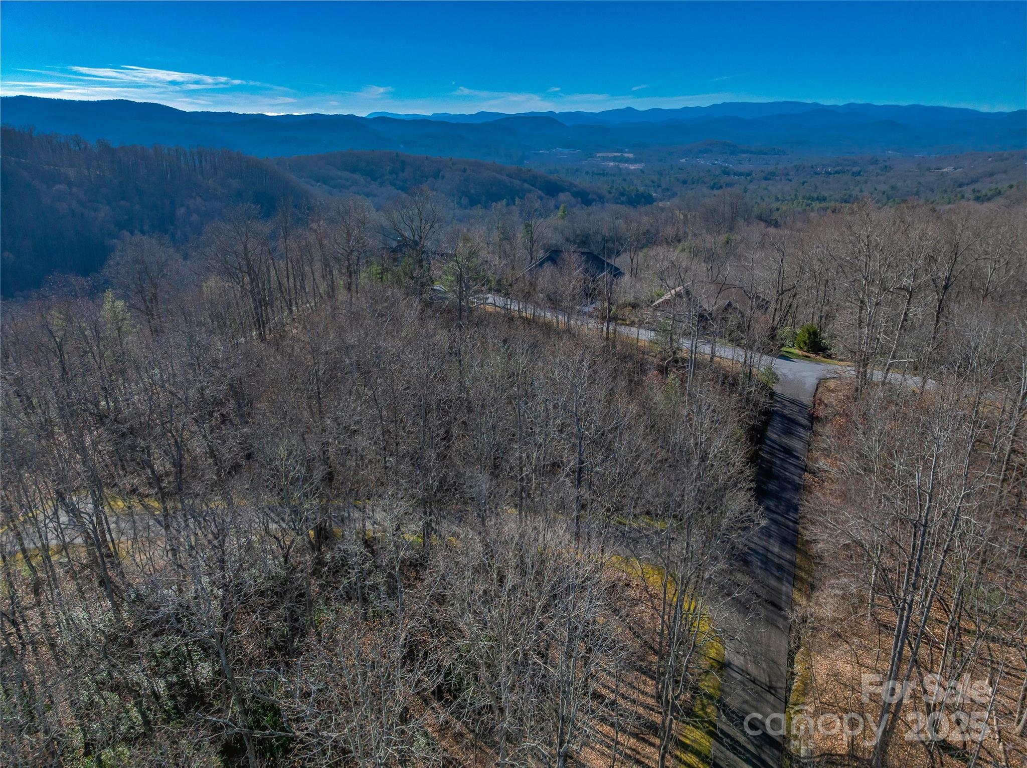 Tbd Ladys Fern Trail Laurel Park NC 28739