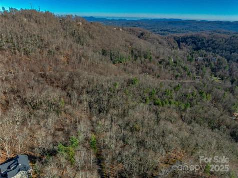 Tbd Ladys Fern Trail Laurel Park NC 28739