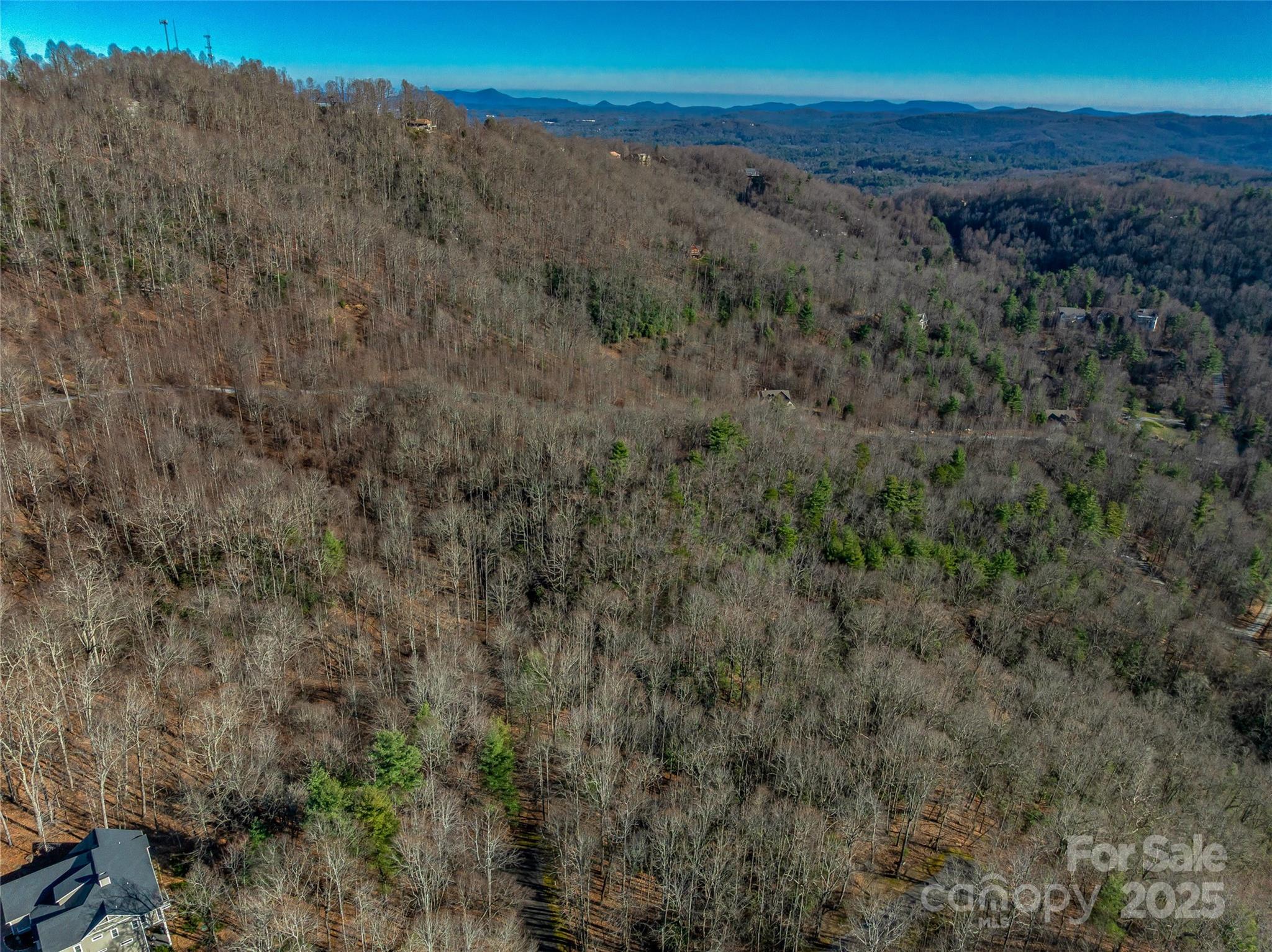 Tbd Ladys Fern Trail Laurel Park NC 28739