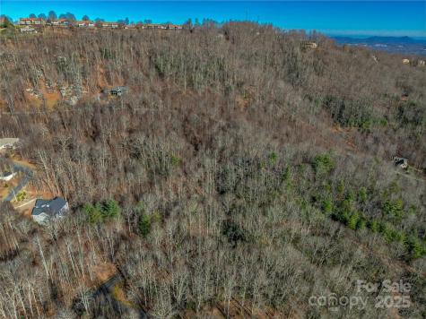 Tbd Ladys Fern Trail Laurel Park NC 28739