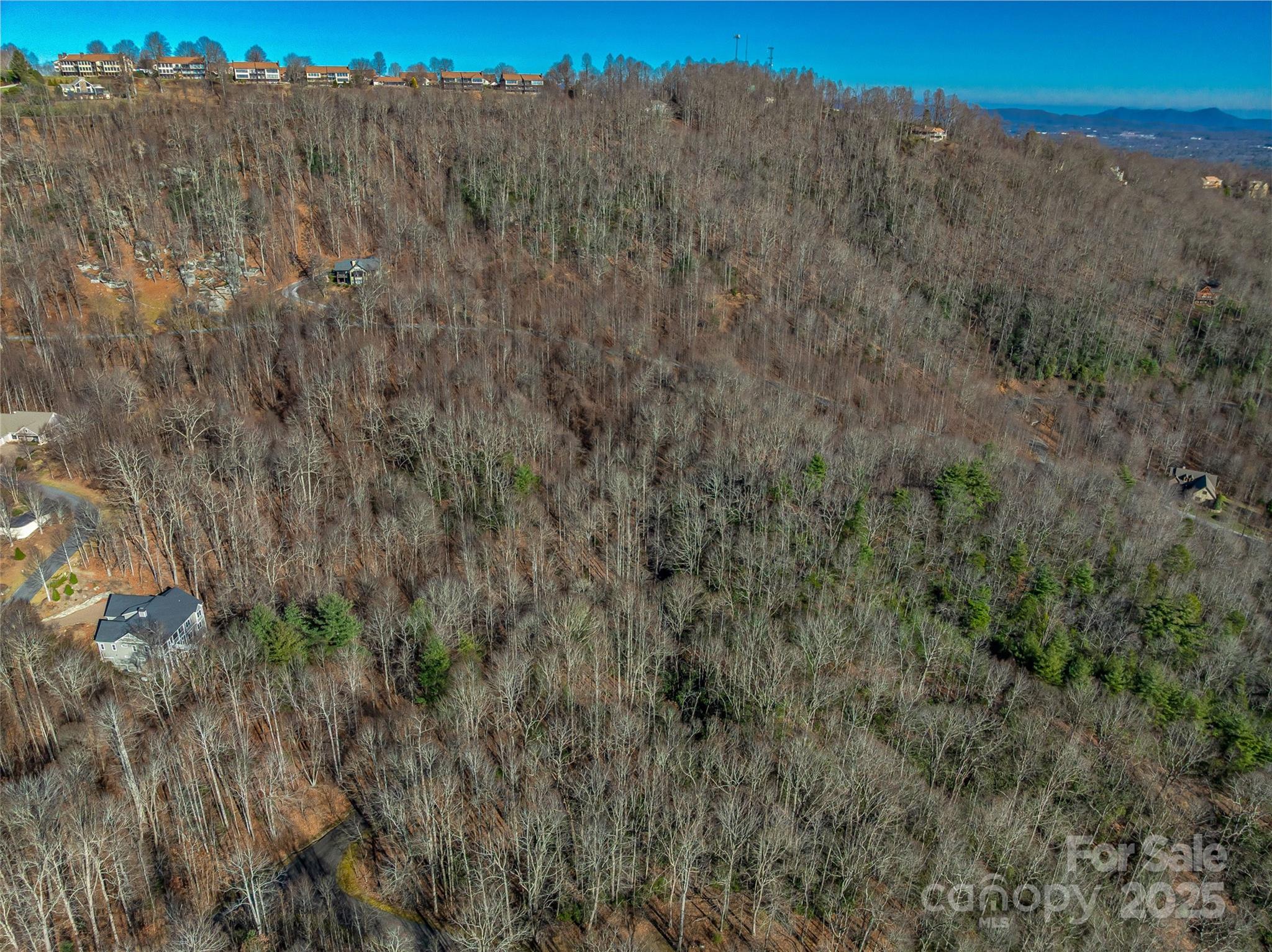 Tbd Ladys Fern Trail Laurel Park NC 28739