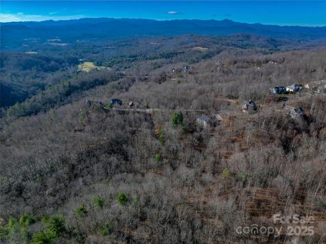 Tbd Ladys Fern Trail Laurel Park NC 28739