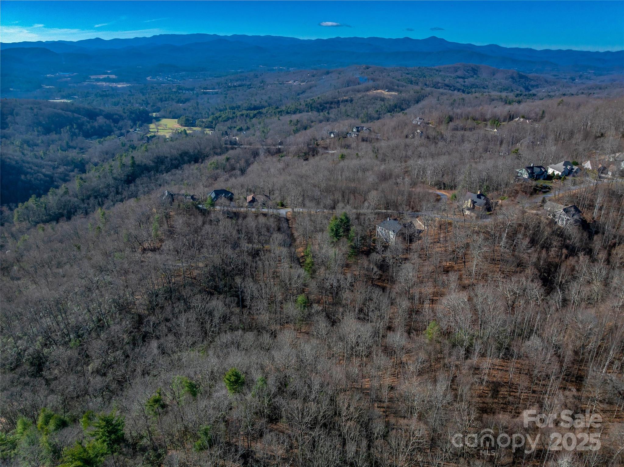 Tbd Ladys Fern Trail Laurel Park NC 28739