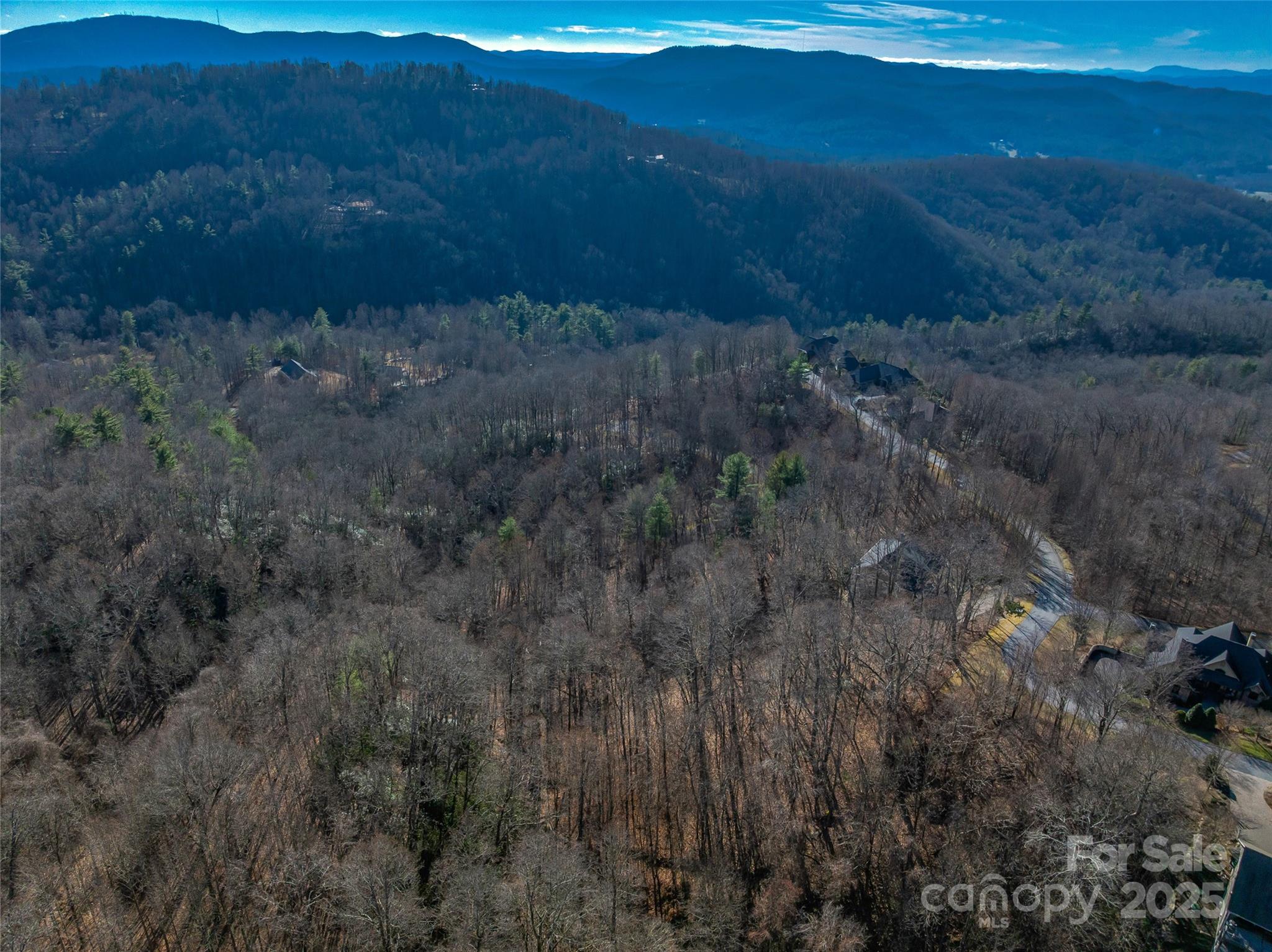 Tbd Ladys Fern Trail Laurel Park NC 28739