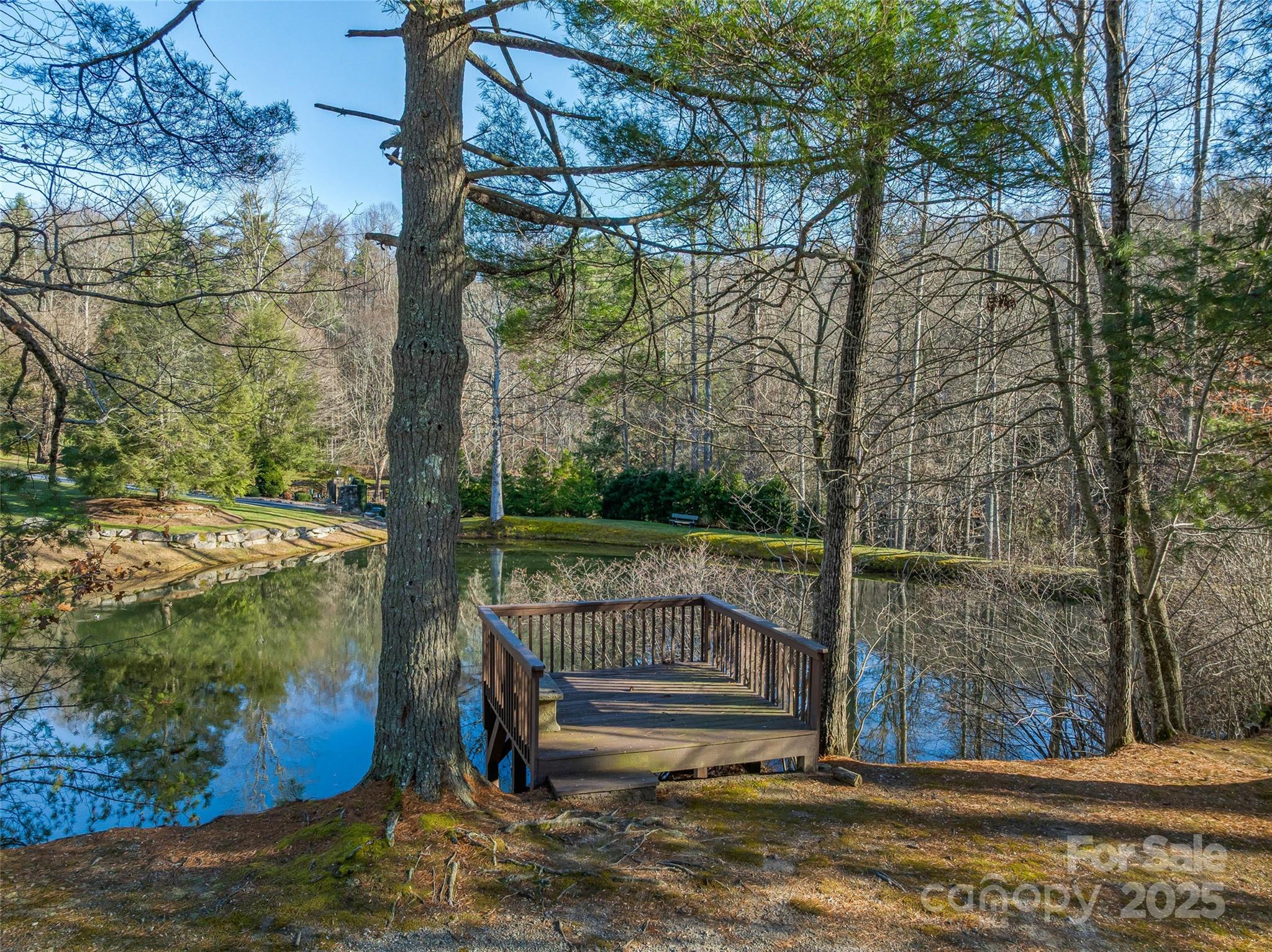 Tbd Ladys Fern Trail Laurel Park NC 28739