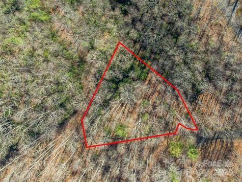 Tbd Ladys Fern Trail Laurel Park NC 28739