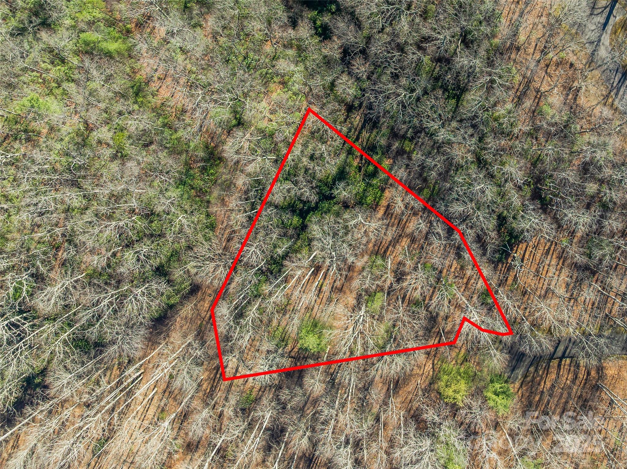 Tbd Ladys Fern Trail Laurel Park NC 28739