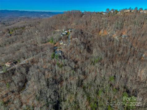 Tbd Ladys Fern Trail Laurel Park NC 28739