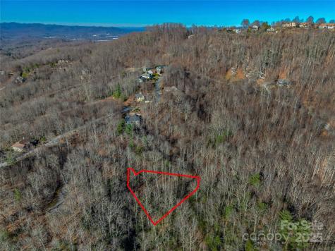 Tbd Ladys Fern Trail Laurel Park NC 28739