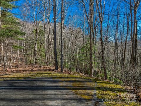 Tbd Ladys Fern Trail Laurel Park NC 28739