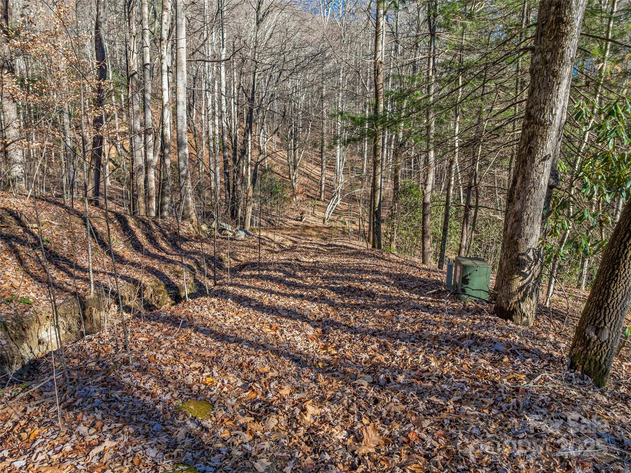 Tbd Ladys Fern Trail Laurel Park NC 28739