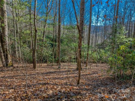 Tbd Ladys Fern Trail Laurel Park NC 28739