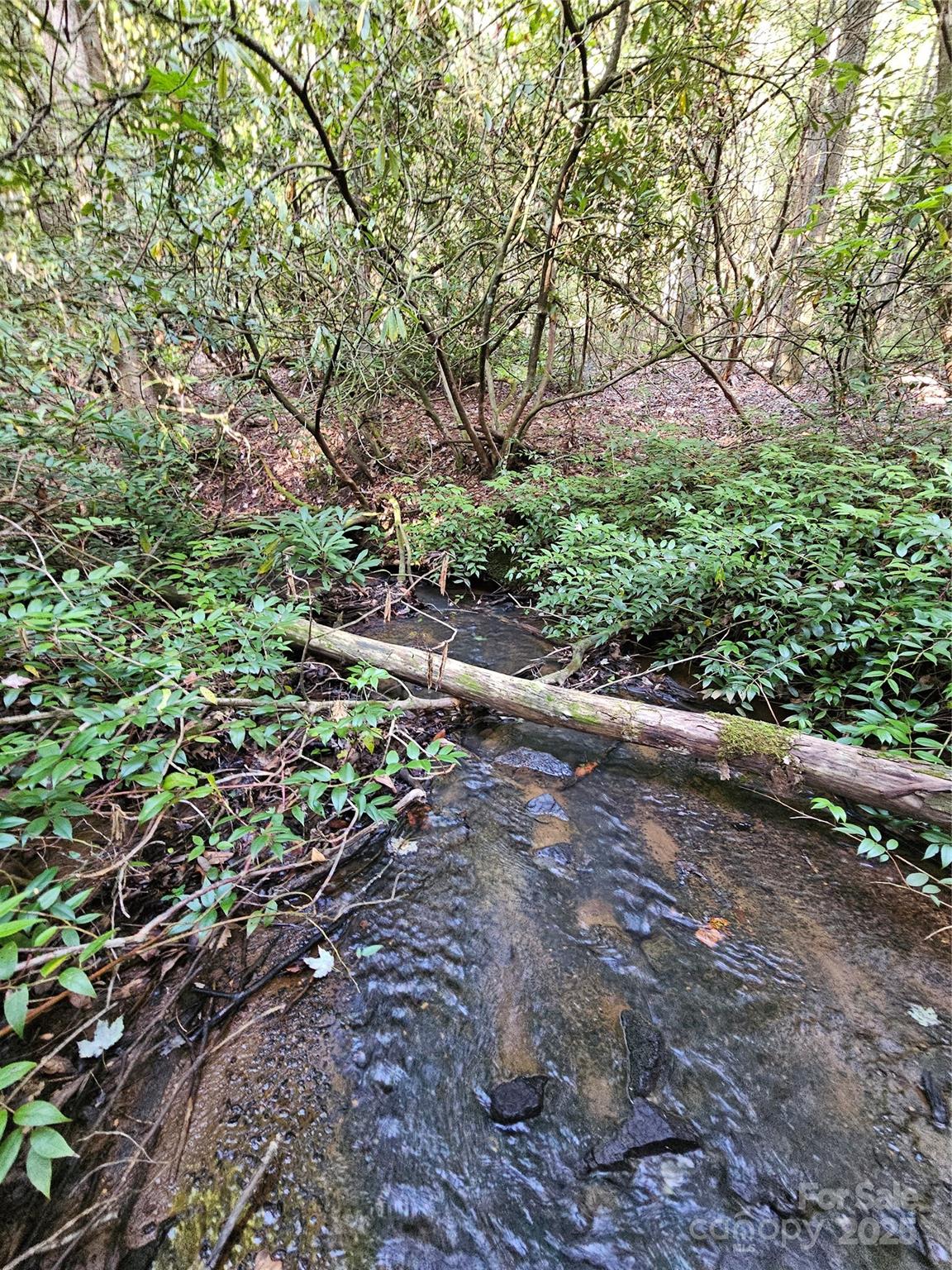 0000 Happy Acres Road Brevard NC 28712
