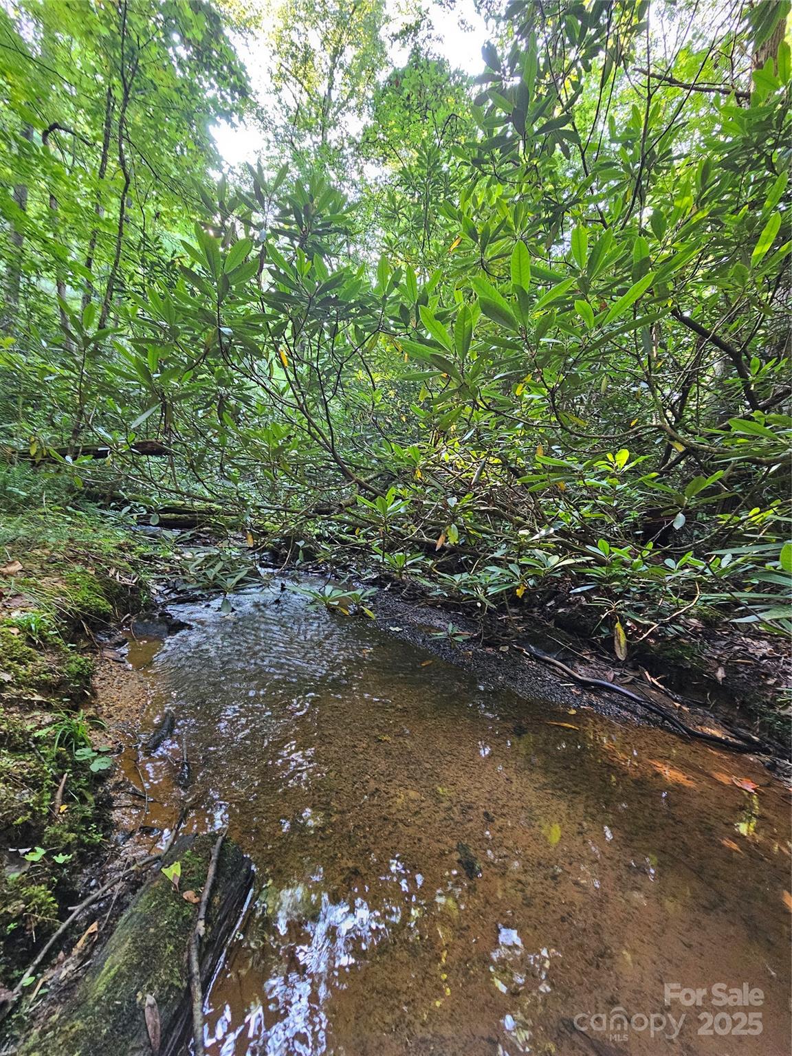 0000 Happy Acres Road Brevard NC 28712