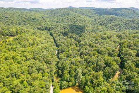 0000 Happy Acres Road Brevard NC 28712